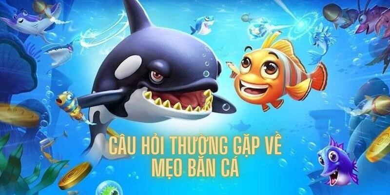 Các câu hỏi về mẹo bắn cá dành riêng cho tân thủ