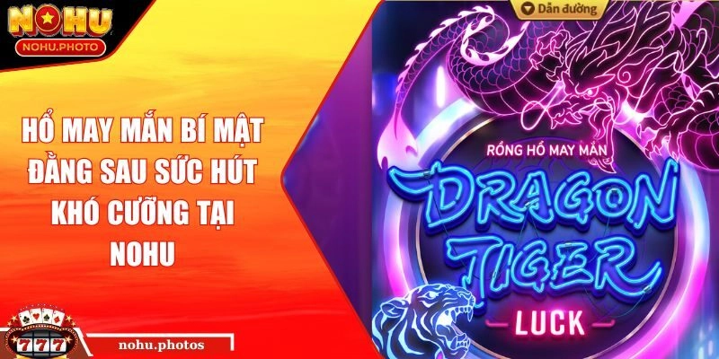 Hổ May Mắn Bí Mật Đằng Sau Sức Hút Khó Cưỡng Tại NOHU