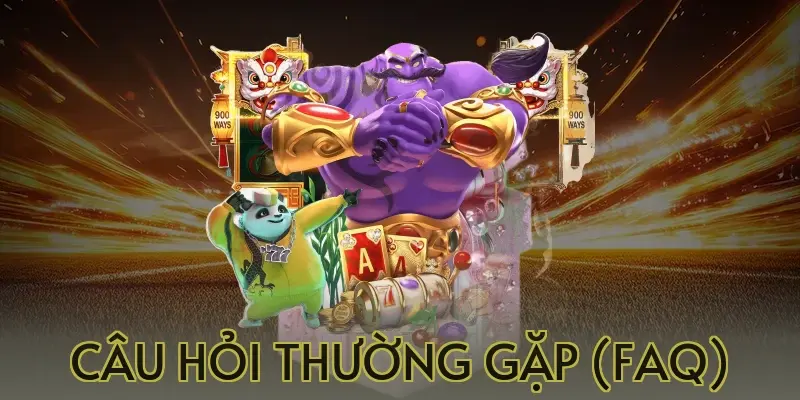 Câu Hỏi Thường Gặp (FAQ)