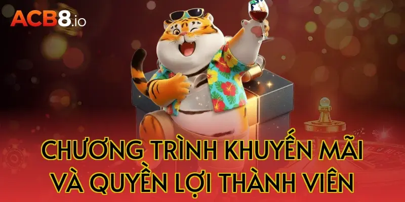 Chương trình khuyến mãi và quyền lợi thành viên