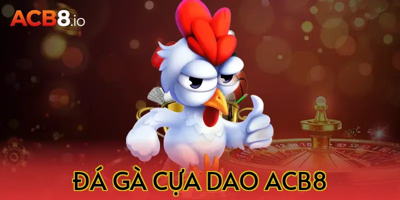 đá gà cựa dao acb8
