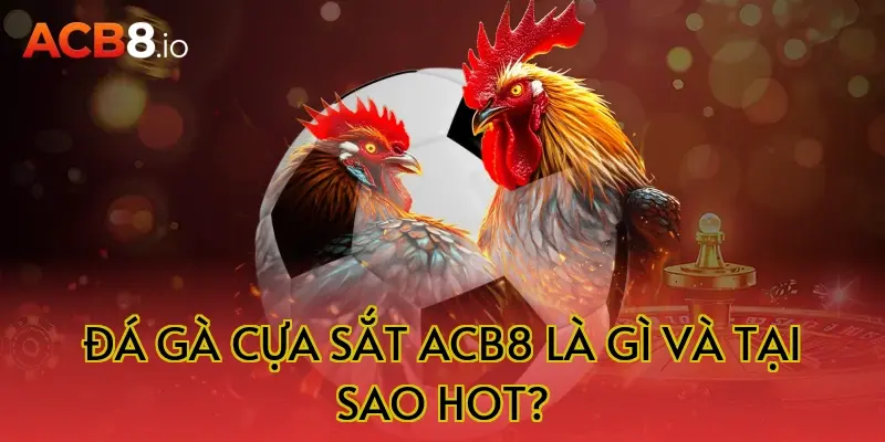 Đá gà cựa sắt acb8 là gì và tại sao hot?