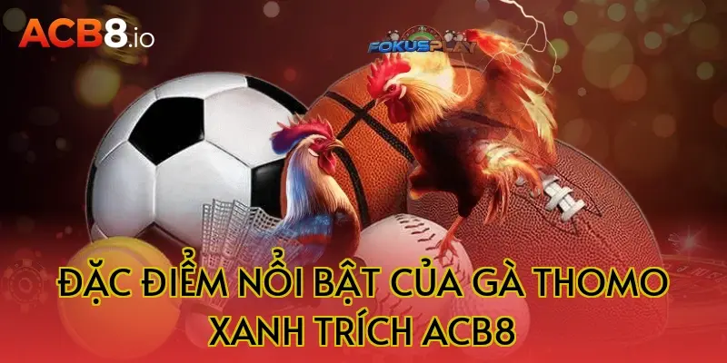 Đặc điểm nổi bật của gà Thomo xanh trích ACB8