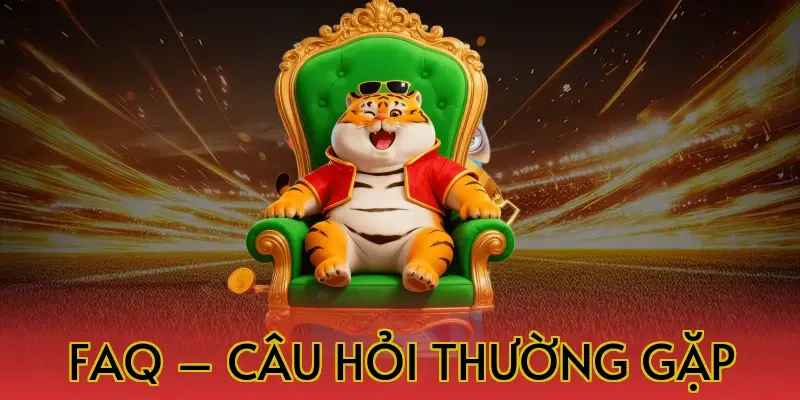 FAQ – Câu hỏi thường gặp