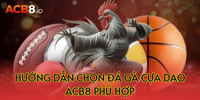 Hướng dẫn chọn đá gà cựa dao ACB8 phù hợp