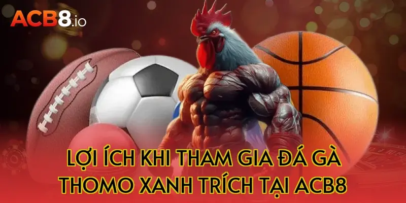 Lợi ích khi tham gia đá gà Thomo xanh trích tại ACB8
