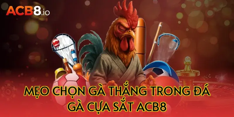 Mẹo chọn gà thắng trong đá gà cựa sắt acb8