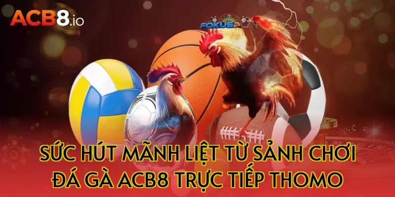 Sức Hút Mãnh Liệt Từ Sảnh Chơi Đá Gà ACB8 Trực Tiếp Thomo