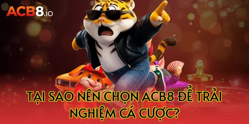 Tại sao nên chọn ACB8 để trải nghiệm cá cược?