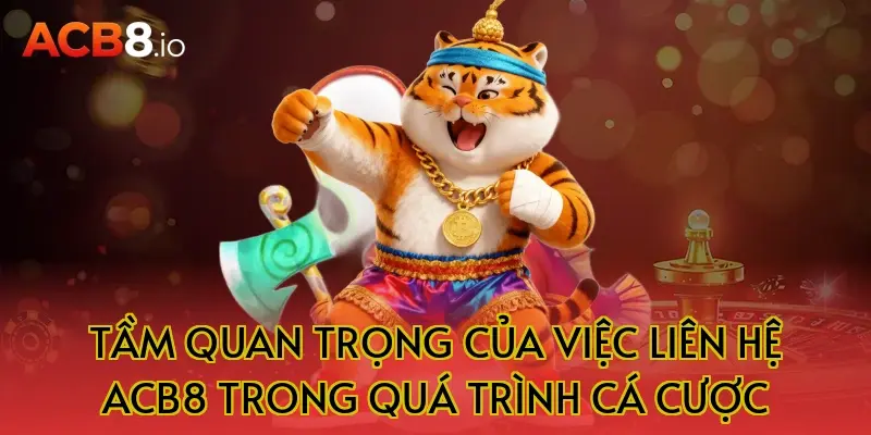 Tầm Quan Trọng Của Việc Liên Hệ ACB8 Trong Quá Trình Cá Cược