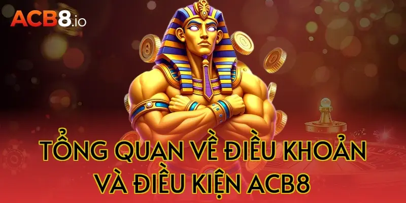 Tổng quan về điều khoản và điều kiện acb8